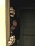 Heather S. Ingemar 1277141