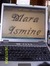 Mara Ismine 3176445