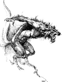 Arnold Wolf