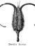 5106658