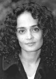 Arundhati roy essays