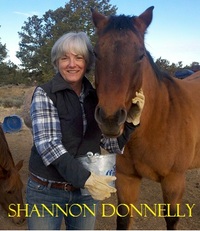 Shannon Donnelly