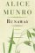 Runaway: Stories (Hardcover)