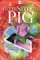 Interstellar Pig (Interstellar Pig #1)