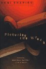 Picturing the Wreck