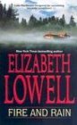 Fire and Rain by Elizabeth Lowell