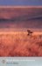 Out of Africa by Isak Dinesen Out of Africa by Isak Dinesen
