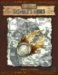 Sigmar's Heirs: A guide to ...