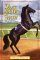 The Black Stallion's Shadow...