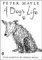 A Dog's Life