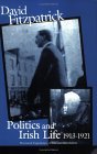 Politics and Irish Life 1913-21: Provincial Experiences of War and Revolution