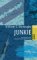 Junkie: Bekenntnisse eines ...