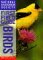 Birds: Birds