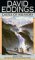 Castle of Wizardry (The Belgariad, #4)