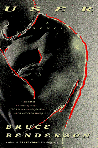 User: A Novel