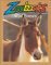 Wild Horses