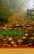 Out Walking by John Leax Out Walking by John Leax
