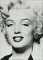 Marilyn Monroe & the Camera