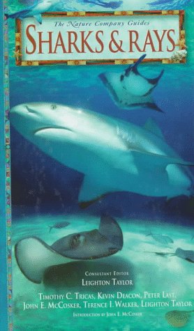 Sharks & Rays