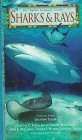 Sharks & Rays