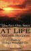 You Get One Shot At Life  Aim For Success: Secrets Of Living A Meaningful Life
