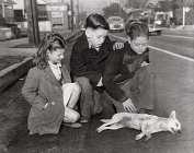 Local News: Tabloid Pictures from the Los Angeles Herald Express 1928-1959 Local News: Tabloid Pictures from the Los Angeles Herald Express 1928-1959
