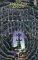 The Endless Knot: Song of Albion Book 3 (Paperback)