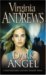 Dark Angel by V.C. Andrews