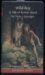 Wild Boy (Rowan Hood, #4)