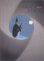 Death And The Penguin (Paperback)