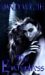 The Enchantress (The Darkne...