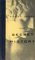 The Secret History (Hardcover)