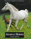 Arabian Horses Arabian Horses