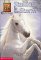 Stallion in the Storm (Anim...
