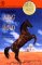 King of the Wind (Paperback)