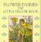 Little Yellow Book