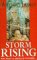 Storm Rising (Valdemar: Mage Storms, #2)