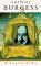 Nothing Like the Sun (Paperback)