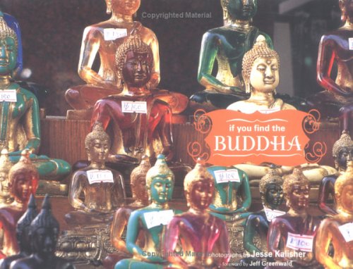 If You Find the Buddha by Jesse Kalisher