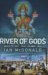 River of Gods (Paperback)