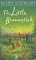 The Little Broomstick (Modern Classic)
