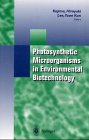 Photosynthetic Microorganisms In Environmental Biotechnology