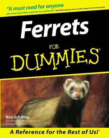 Ferrets For Dummies by Kim Schilling