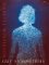 Gut Symmetries (Hardcover)
