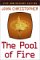 The Pool of Fire (The Tripods, #3)