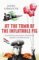 At The Tomb Of The Inflatable Pig: Travels Through Paraguay (Paperback)
