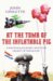At the Tomb of the Inflatable Pig: Travels Through Paraguay (Hardcover)