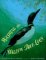 Washing The Willow Tree Loon
