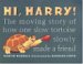 Hi, Harry!: The Moving Story of How One Slow Tortoise Slowly Made a Friend (Hardcover)