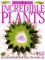 Extraordinary Plants